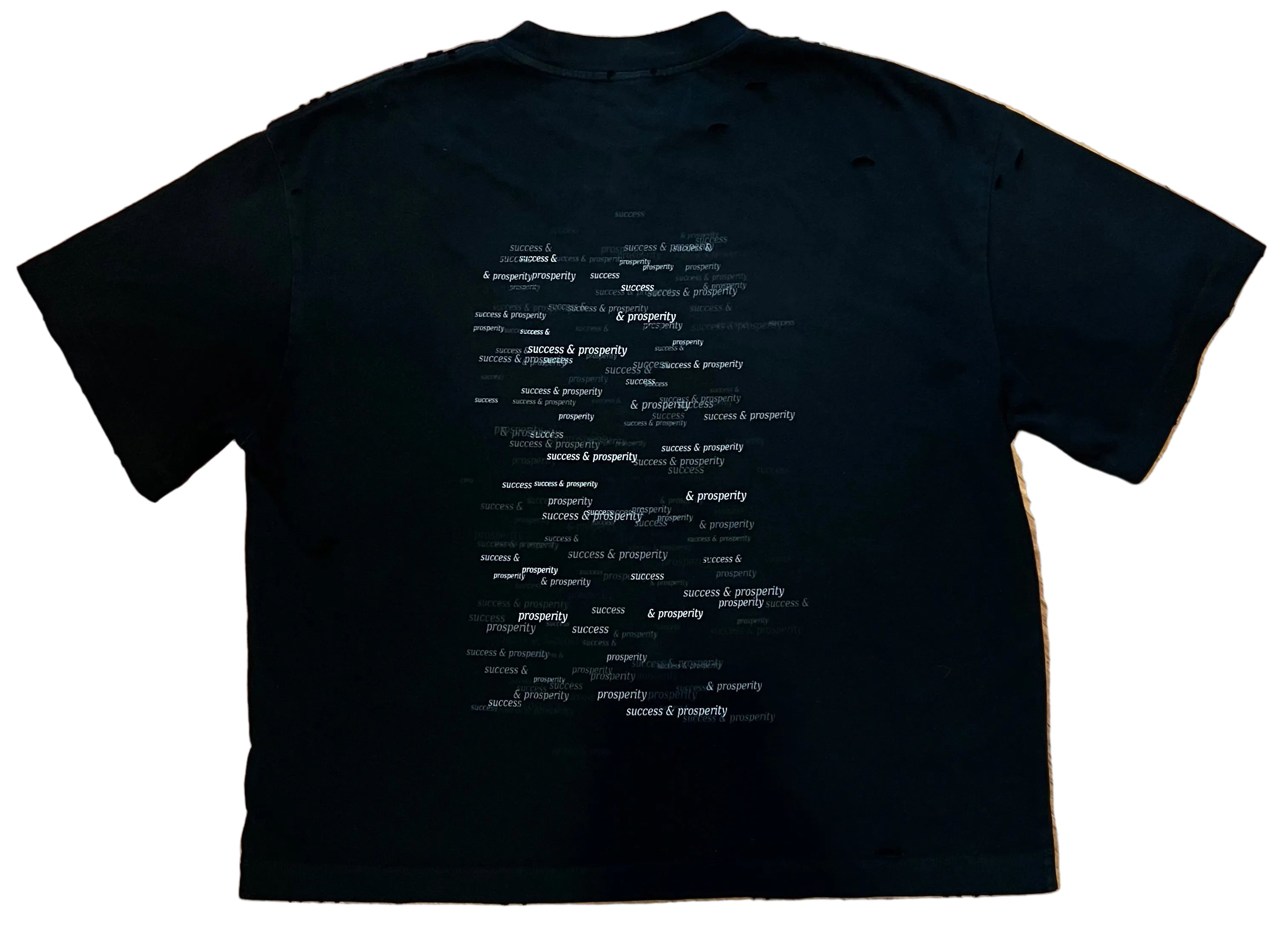 Success & Prosperity Tee